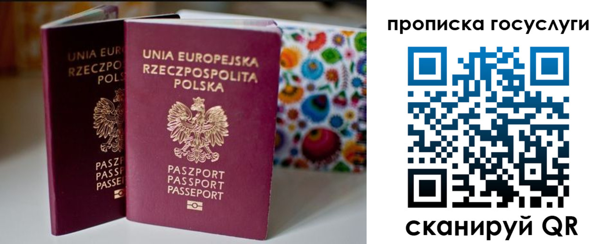 пропишу в квартире в Красном Куте